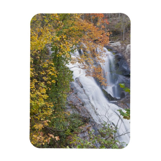 Íman Cachoeira Bald River (Vertical)