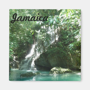 Íman Cachoeira do ímã da foto das quedas de Jamaica