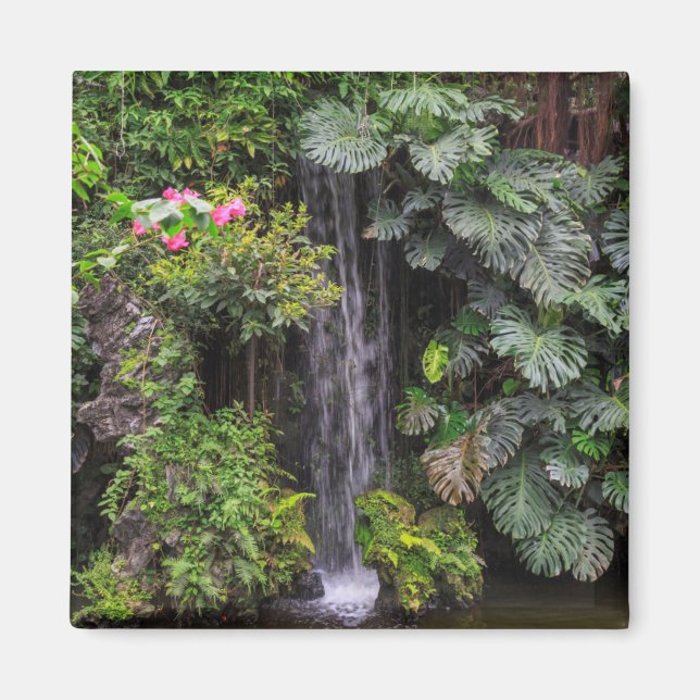 Íman Cachoeira do Jardim Luxuriante, China (Frente)