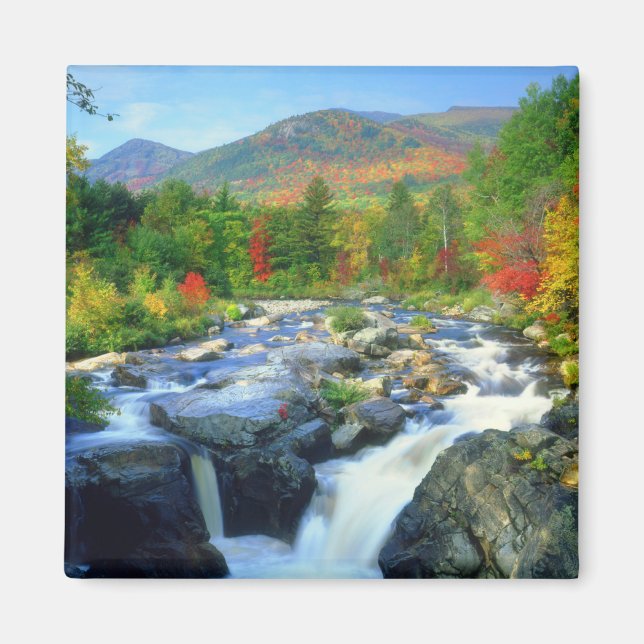 Íman Cachoeira Flume | Montanhas Adirondack (Frente)