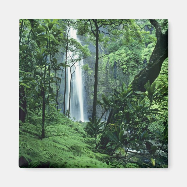 Íman Cachoeira Hanakapiai ao longo da Costa Na Pali, Ka (Frente)