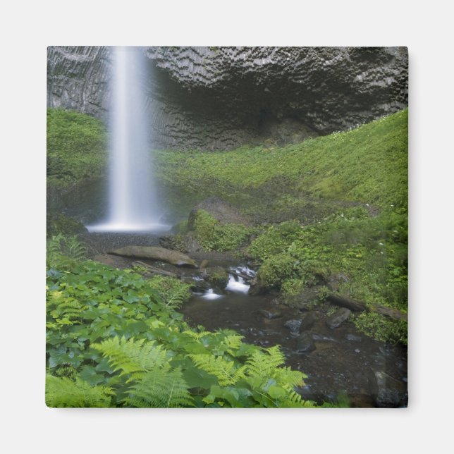 Íman Cachoeira Latourell, Desfiladeiro do Rio Columbia, (Frente)
