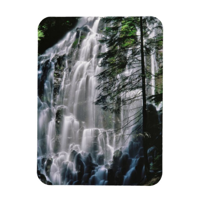 Íman Cachoeira na floresta, Oregon (Vertical)