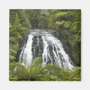 Íman Cachoeira Owharoa, Karangahake Gorge, perto de Pae