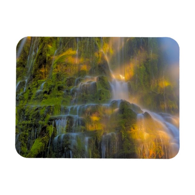 Íman Cachoeira Proxy Falls Three Sisters Wilderness Ore (Horizontal)