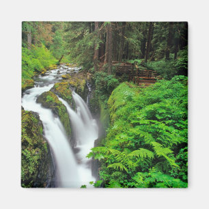 Íman Cachoeira Sol Duc no Parque Nacional Olímpico em