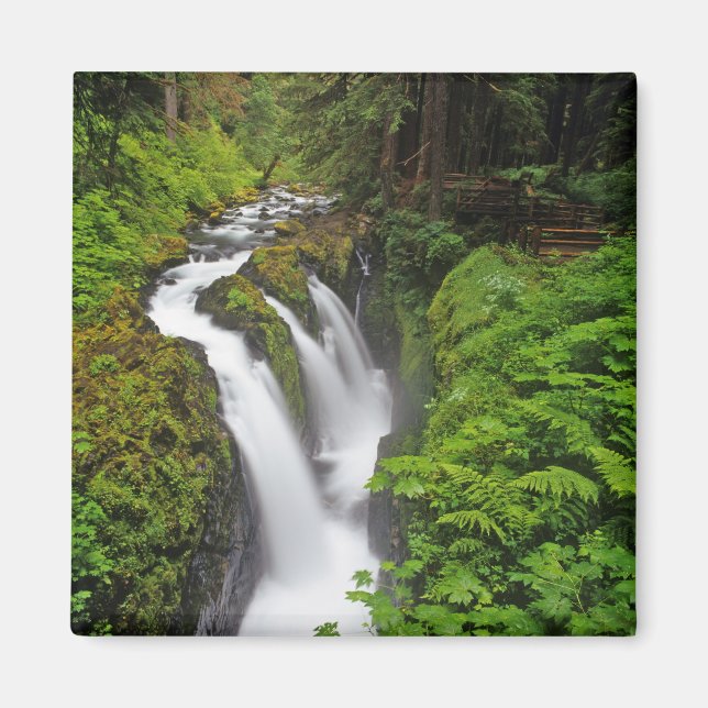 Íman Cachoeira Sol Duc no Parque Nacional Olímpico em (Frente)