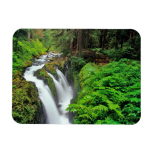 Íman Cachoeira Sol Duc no Parque Nacional Olímpico em