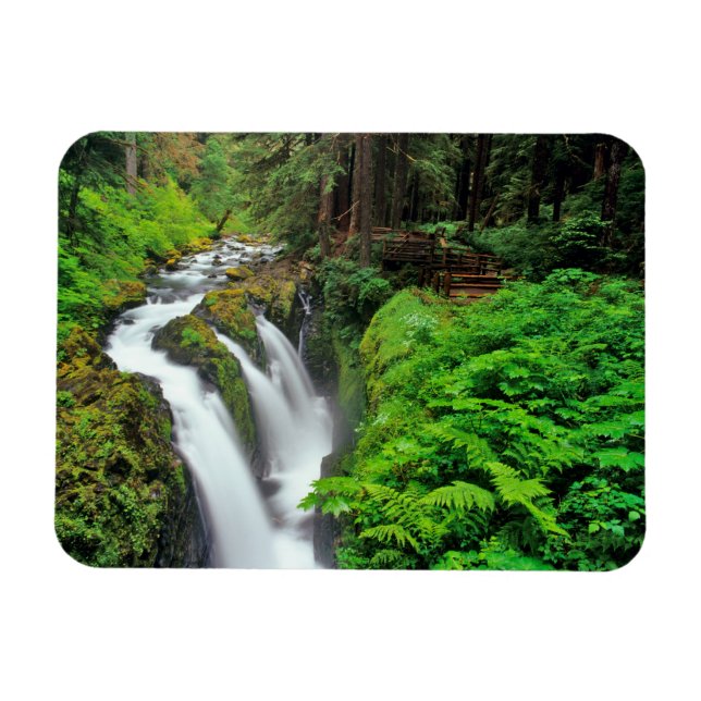 Íman Cachoeira Sol Duc no Parque Nacional Olímpico em (Horizontal)