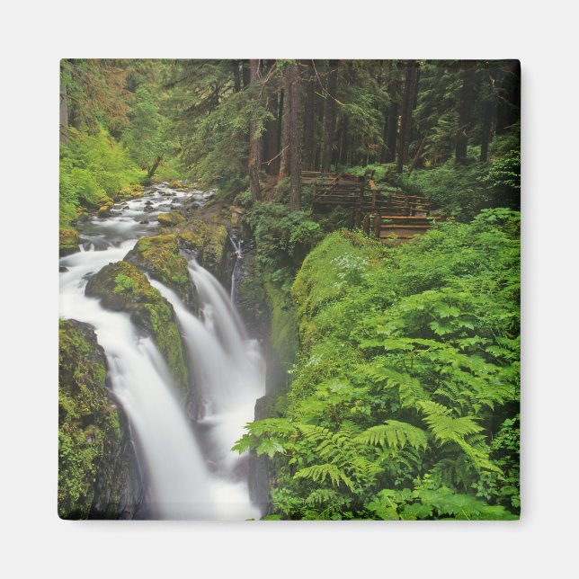 Íman Cachoeira Sol Duc no Parque Nacional Olímpico em 2 (Frente)