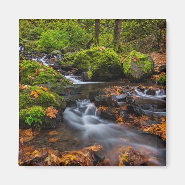 Íman Cachoeira Starvation Creek | Columbia Gorge, Orego (Frente)