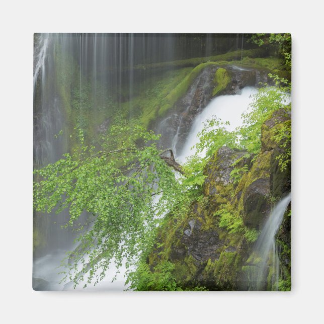 Íman Cachoeira Verde Pitoresca (Frente)