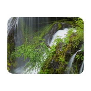 Íman Cachoeira Verde Pitoresca