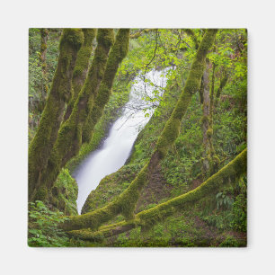 Íman Cachoeira Véu de Noiva