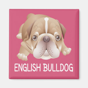 Íman Cachorrinho Bulldog Inglês Rosa Ímã do Amor