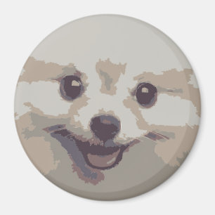 ÍMAN CACHORRO