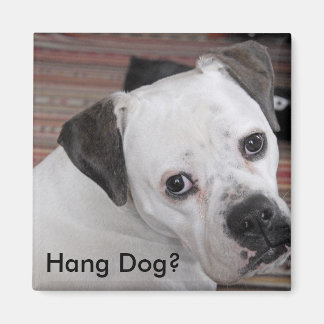 Íman Cachorro?