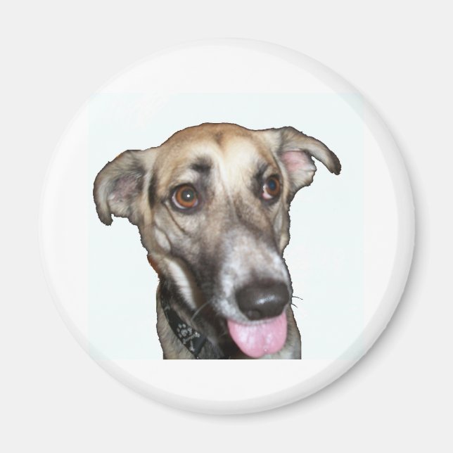 Íman Cachorro 2, Magnet (Frente)