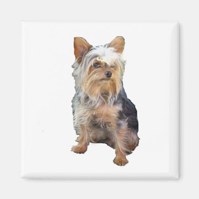 Íman Cachorro 4 A (Frente)