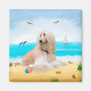 Íman Cachorro afegão na praia