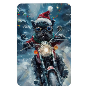 Íman Cachorro Affenpinscher Pilotando Motocicleta Natal