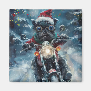 Íman Cachorro Affenpinscher Pilotando Motocicleta Natal