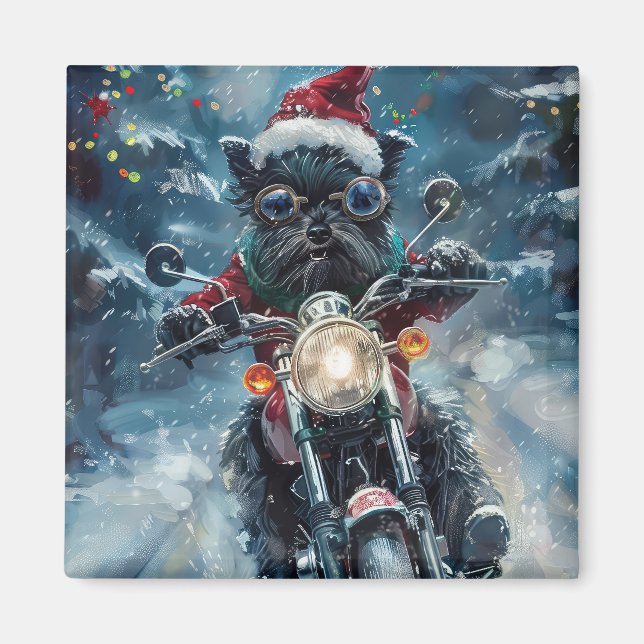 Íman Cachorro Affenpinscher Pilotando Motocicleta Natal (Frente)