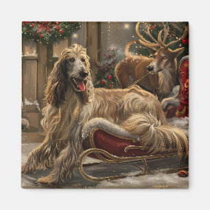 Íman Cachorro Afghan Hound Natal Festivo