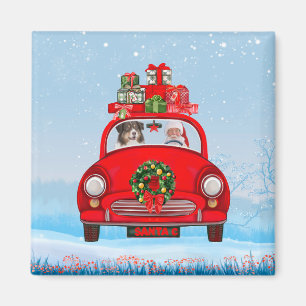Íman Cachorro Australiano No Carro Com Papai Noel