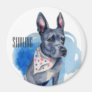 Íman Cachorro Azul De Pit Bull Personalizável