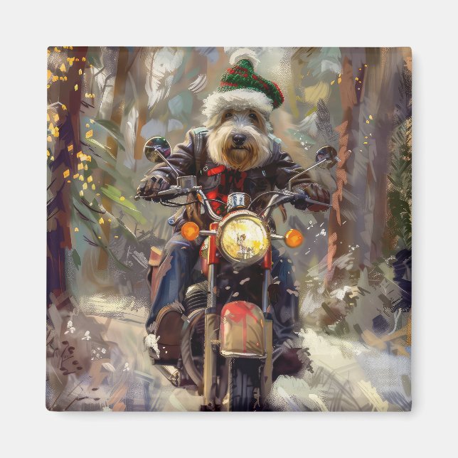 Íman Cachorro Bernedoodle pilotando motocicleta Natal (Frente)