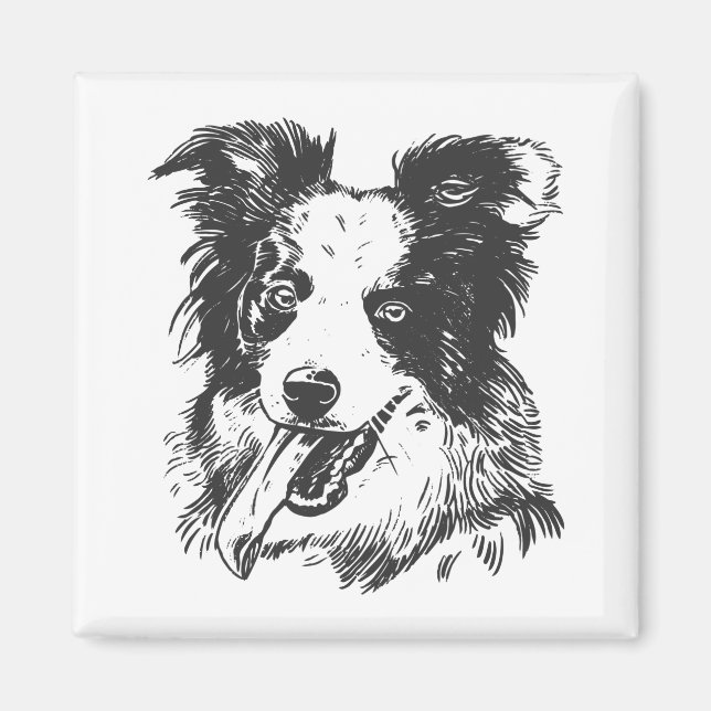 Íman Cachorro Border Collie - Amante do Aussie (Frente)