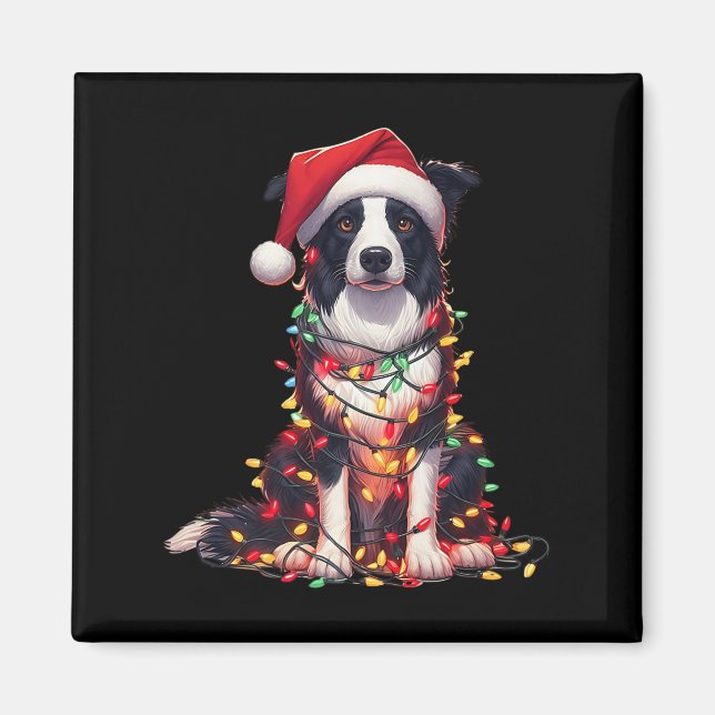 Íman Cachorro Border Collie Luzes de Natal Chapéu de Pa (Frente)
