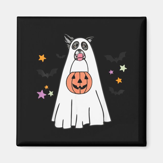 Íman Cachorro Border Collie Preto E Branco Boo Hallowee (Frente)