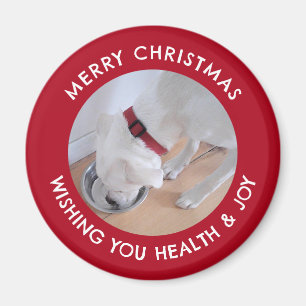 Íman Cachorro Branco Bonito Foto Saudável, Feliz Natal