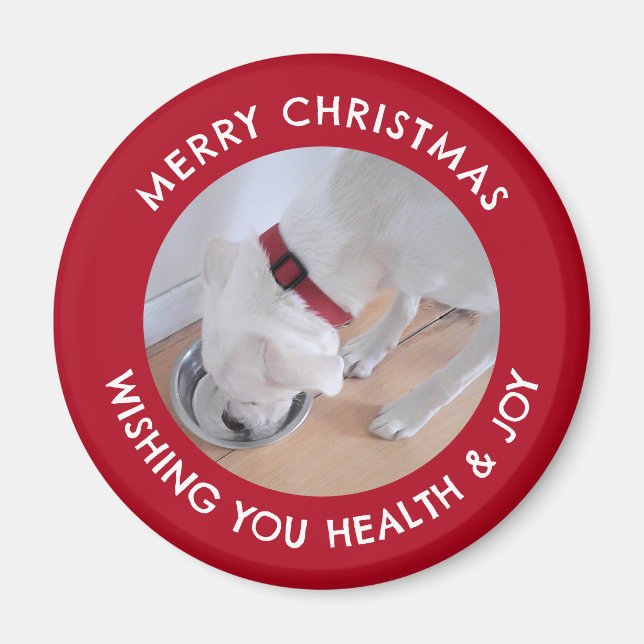Íman Cachorro Branco Bonito Foto Saudável, Feliz Natal  (Frente)