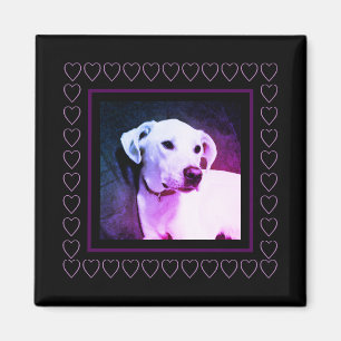 Íman Cachorro Branco Cachorro Roxo Dia de os namorados 
