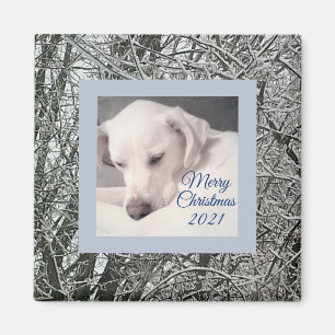 Íman Cachorro branco pacífico Cachorro nevado Dia de N