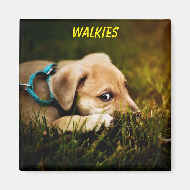 Íman Cachorro-Cachorro-Cachorro (Frente)