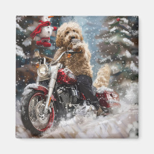 Íman Cachorro Cachorro Cachorro Andando Motocicleta Nat