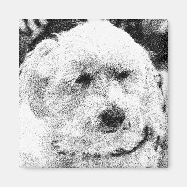 Íman Cachorro Cachorro Cachorro Cortado Rosto Favorito (Frente)
