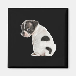 Íman Cachorro Cachorro Com Sono Bonito Face Para Amante
