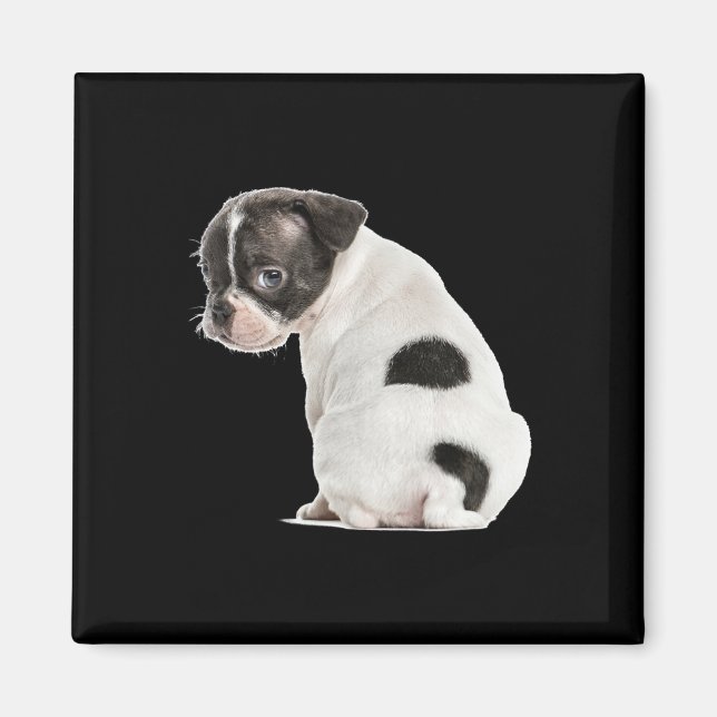 Íman Cachorro Cachorro Com Sono Bonito Face Para Amante (Frente)