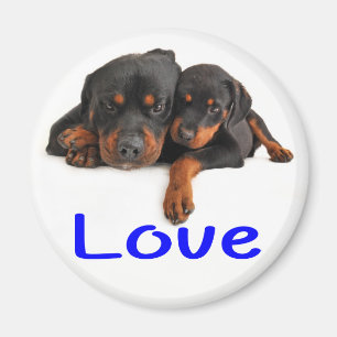 Íman Cachorro Cachorro Rottweiler Marrom e Preto Amor