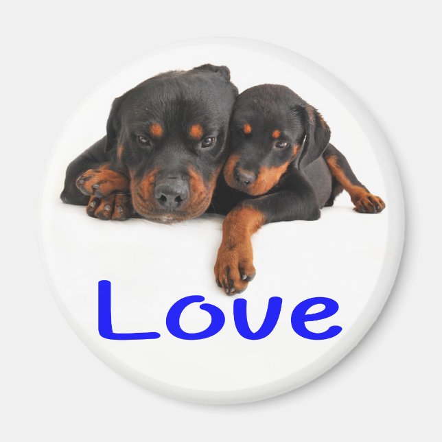 Íman Cachorro Cachorro Rottweiler Marrom e Preto Amor (Frente)