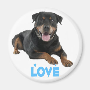 Íman Cachorro Cartoon de Rottweiler Marrom e Preto Amor