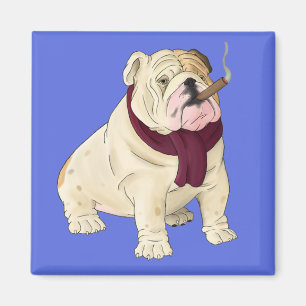 Íman Cachorro Cartoonista Bulldog Inglês Azul Magnet