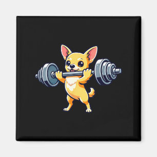 Íman Cachorro Chihuahua levantamento de peso musculação