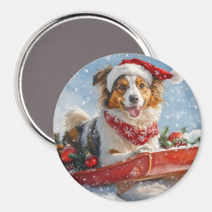Íman Cachorro Collie em Sledge Deixe-o nevar no Natal