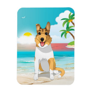 Íman Cachorro Collie Suave na Praia
